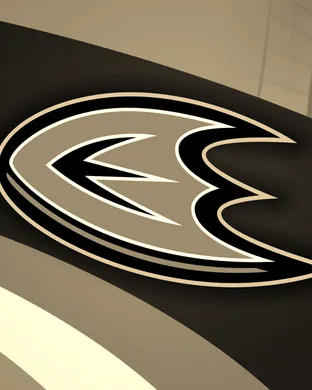 Anaheim Ducks Boston