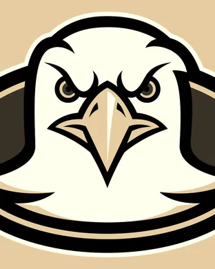 Boston College Eagles Football Cincinnati