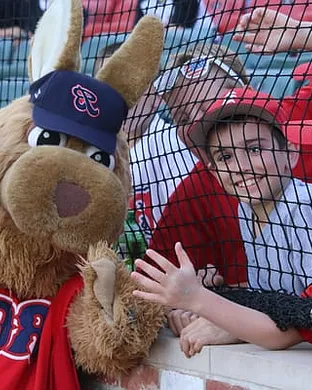 Brockton Rox Brockton