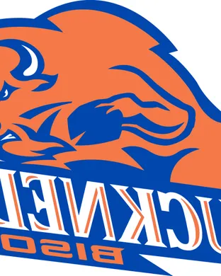 Bucknell Bison Worcester