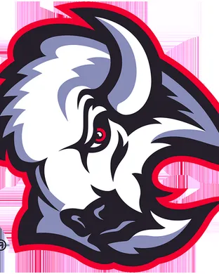 Buffalo Sabres Buffalo