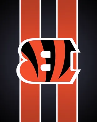 Cincinnati Bengals Boston