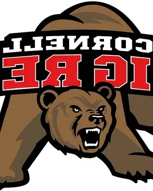 Cornell Big Red Football Ithaca