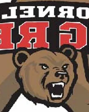 Cornell Big Red Ithaca