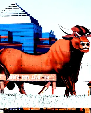 Durham Bulls Worcester