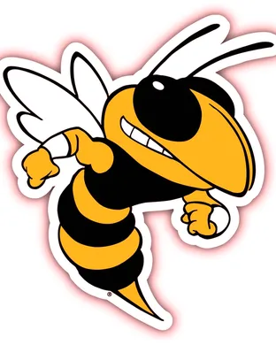 Georgia Tech Yellow Jackets Football Boston