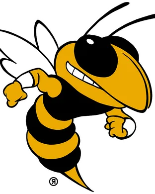 Georgia Tech Yellow Jackets Boston