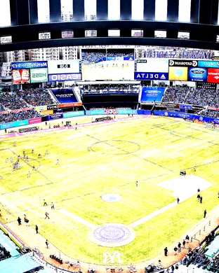 New York City Fc Foxborough