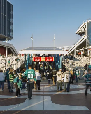 Nhl Stadium Series Tampa