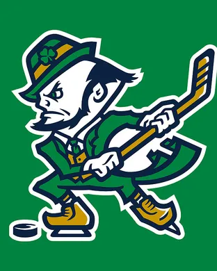 Notre Dame Fighting Irish Hockey South Bend