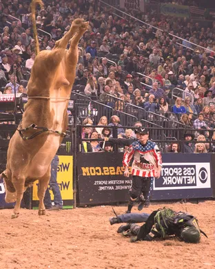 PBR - Professional Bull Riders