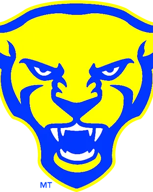 Pittsburgh Panthers Football Chestnut Hill