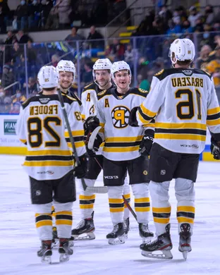 Providence Bruins Providence