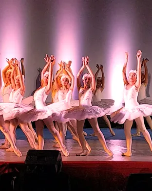 Swan Lake Cranston