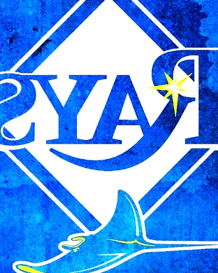 Tampa Bay Rays St Petersburg