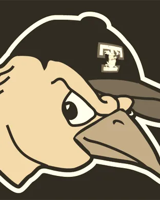 Toledo Mud Hens Worcester