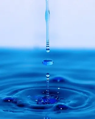Water for Elephants - The Musical Worcester