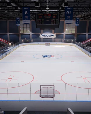 Quinnipiac Bobcats Women's Hockey Hamden