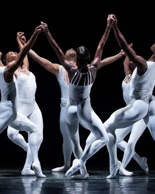 BoSoma Youth Company: More Than Motion